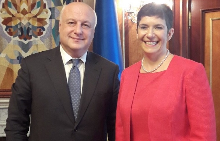 გიგი წერეთელი ევროპარლამენტის ვიცე პრეზიდენტს შეხვდა