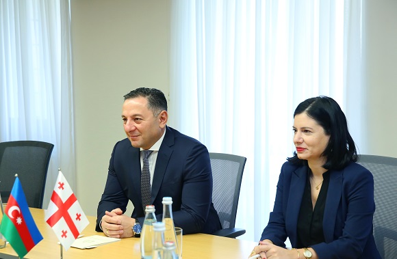 ვახტანგ გომელაური აზერბაიჯანის ელჩს შეხვდა
