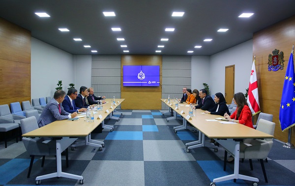 ვახტანგ გომელაური ევროპის საბჭოს საპარლამენტო ასამბლეის მონიტორინგის კომიტეტის დელეგაციას შეხვდა