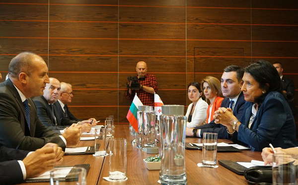 სალომე ზურაბიშვილი ბულგარეთის პრეზიდენტს შეხვდა