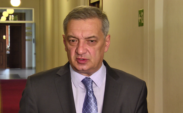 პოლიტიკური უზნეობაა დეპუტატ ეკა ბესელიას მხრიდან ბიძინა ივანიშვილზე გალაშქრება - გია ვოლსკი