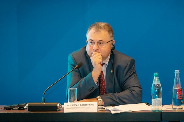 საქართველო პირველი ქვეყანაა ევროპაში, სადაც ადამიანის უფლებების დაცვას სერიოზულად აღიქვამენ - ვლადიმერ შკოლნიკოვი