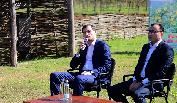 თორნიკე რიჟვაძე: ჩვენთვის მნიშვნელოვანია, რომ თითოეული კილოგრამი ციტრუსი იყოს დროულად რეალიზებული