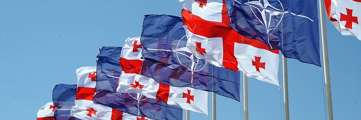 ამერიკა ნატოს წევრია, მაგრამ V მუხლი ჰავაის არ იცავს. ეს საქართველოსთვისაც შეიძლება გაკეთდეს - კოფი