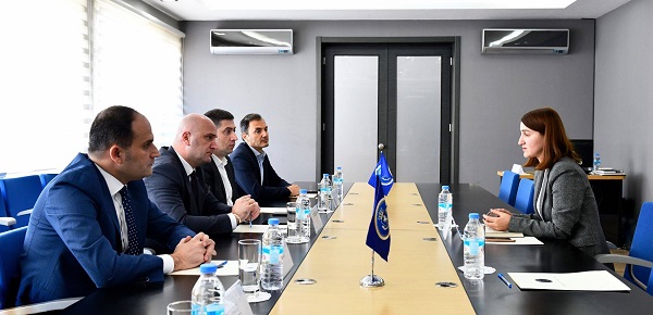 საქართველოს ფინანსთა სამინისტროს საგამოძიებო სამსახურს  სახელმწიფო ინსპექტორი ეწვია