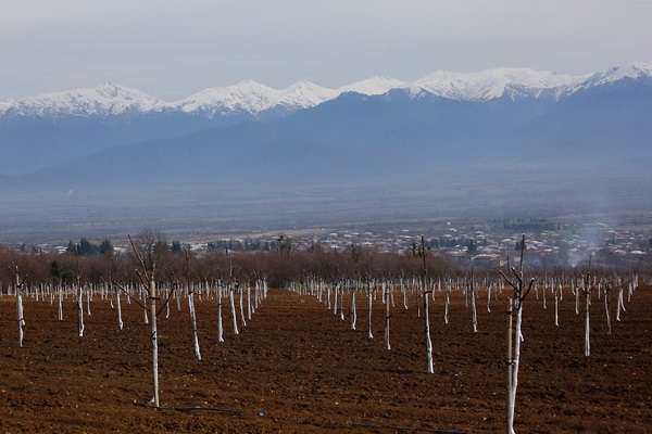 ხატია წილოსანი IFAD - ის სტრატეგიულ ფორუმზე სიტყვით გამოვიდა