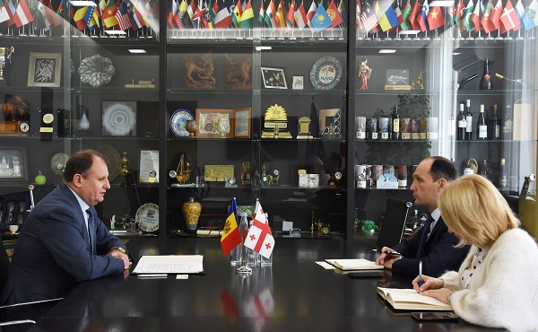 ლევან დავითაშვილი მოლდოვის რესპუბლიკის ელჩს, გეორგ ლეუკას შეხვდა