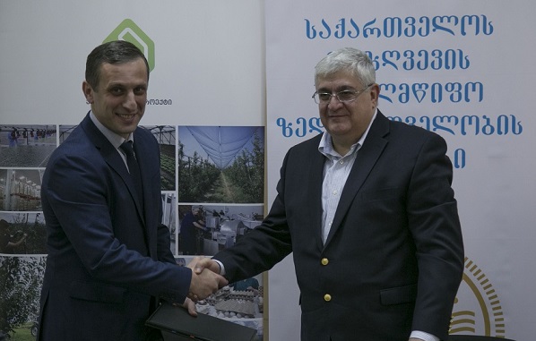 სოფლის მეურნეობის განვითარების სააგენტოსა და საქართველოს დაზღვევის სახელმწიფო ზედამხედველობის სამსახურს შორის მემორანდუმი გაფორმდა