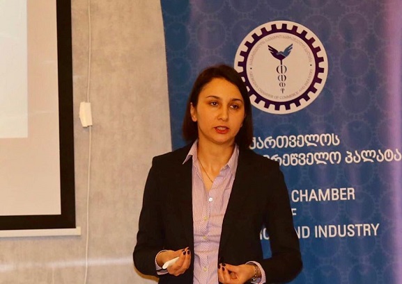 უცხოელ ინვესტორთა ინტერესის სფერო არა მხოლოდ ქვეყნის სტაბილურობაა, არამედ დასაქმების ხელმისაწვდომობაც - მაგდა ბოლოთაშვილი