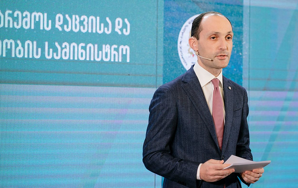 2019 წელს გარემოსდაცვითი კანონმდებლობის დარღვევის 10 513 ფაქტი გამოვლინდა
