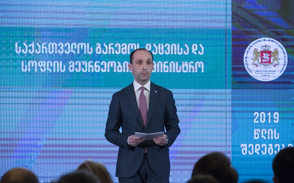 ლევან დავითაშვილმა სამინისტროს 2019 წლის საქმიანობა შეაჯამა