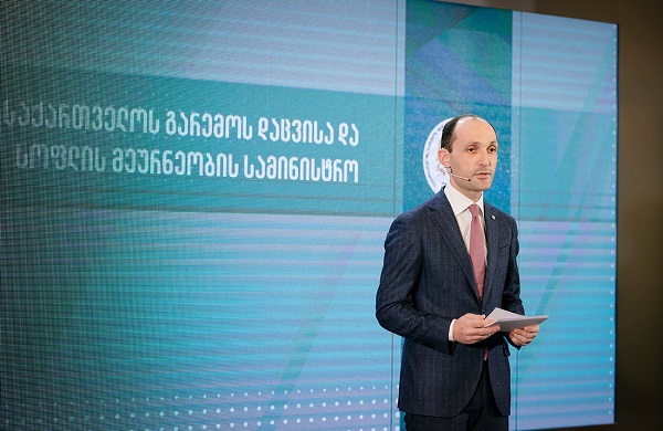 ლევან დავითაშვილმა მთავრობის წევრებს  გარემოსდაცვითი ზედამხედველობის დეპარტამენტის 2020 წლის გეგმები გააცნო