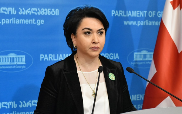სოფო კილაძეს დღემდე ვერ გაუგია, რისი კომიტეტის თავმჯდომარეა - ეკა ბესელია