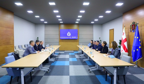 ვახტანგ გომელაური ევროპის საბჭოს საპარლამენტო ასამბლეის მონიტორინგის კომიტეტის დელეგაციას შეხვდა