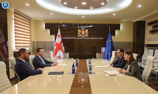 საქართველოს გენერალური პროკურორი ირაკლი შოთაძე  სახელმწიფო ინსპექტორს ლონდა თოლორაიას შეხვდა