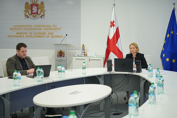 ევროკავშირი პანდემიით გამოწვეული კრიზისის დროს ძალიან სოლიდურად დაგვიდგა გვერდში - ნათია თურნავა