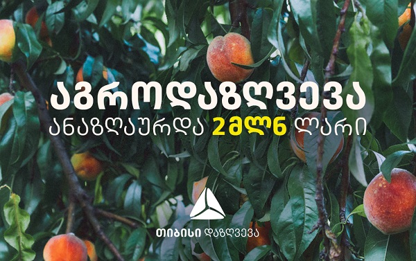 თიბისი დაზღვევამ 2019 წელს ფერმერებს 2 მლნ ლარის ზარალი აუნაზღაურა