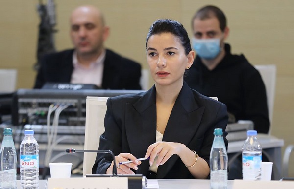 დახმარების პაკეტის ფორმირებაში მთავრობის მიზანი იყო, რომ მას პირდაპირ ეპასუხა არსებულ გამოწვევებზე - მარიამ ქვრივიშვილი