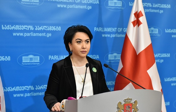 არ ვოცნებობ მაჟორიტარობაზე - ეკა ბესელია
