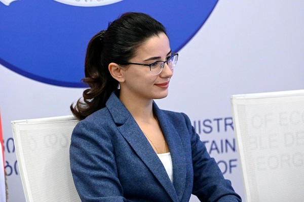 ტურისტული ტრანსპორტისთვის დადგენილი სტანდარტები საქალაქთაშორისო ტრანსპორტისთვის დაწესებულ რეგულაციებს უთანაბრდება