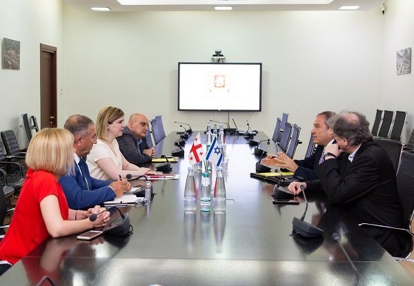 გარემოს დაცვისა და სოფლის მეურნეობის მინისტრის მოადგილე ხატია წილოსანი ისრაელის  სახელმწიფოს საგანგებო და სრულუფლებიან ელჩს საქართველოში რან გიდორს შეხვდა