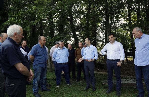 წელს თხილის მოსავალი ჭარბი და ხარისხიანი იქნება - ლევან დავითაშვილი