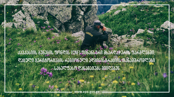 CNF-ის ფინანსური მხარდაჭერის ფარგლებში, დაცული ტერიტორიების რეგიონული ადმინისტრაციის თანამშრომლები სახელფასო დანამატებს მიიღებენ