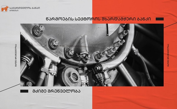 საქართველოს ბანკის ფინანსური მხარდაჭერით შპს 