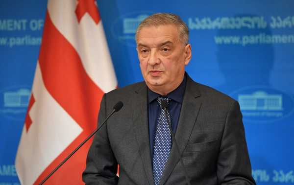 ჩვენ გვაქვს რესურსი გავიმარჯვოთ არჩევნებში და დავაკომპლექტოთ მთავრობა - ვოლსკი