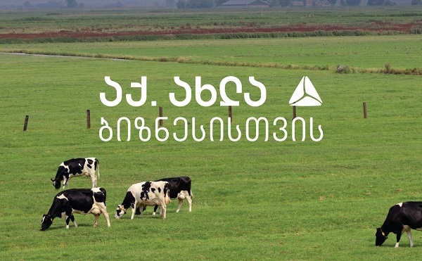 თიბისის მხარდაჭერით ყველის ქარხანა 
