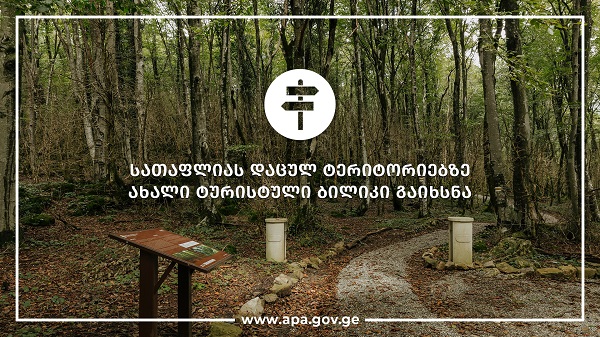 სათაფლიას დაცულ ტერიტორიებზე ახალი ტურისტული ბილიკი გაიხსნა