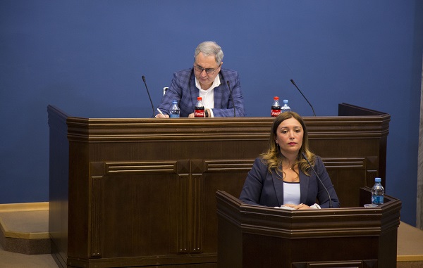 ნინო თანდილაშვილმა პარლამენტში 