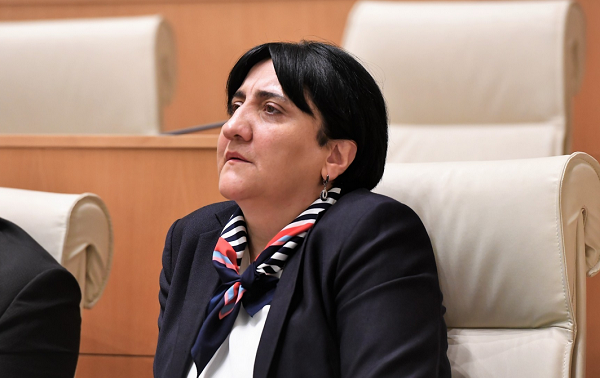მაჟორიტარი დეპუტატობის კანდიდატი თბილისში ვიქნები - ინაშვილი