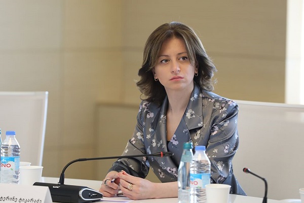 მოსახლეობას და ყველა იმ პოლიტიკურ პარტიას, რომელიც დღეს ჩართულია პოლიტიკურ პროცესში, მინდა ვთხოვო, ნუ შეუწყობენ ხელს იმ ვირუსის გავრცელებას - ეკატერინე ტიკარაძე