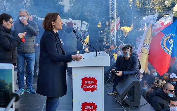 თავისუფალი საქართველოს მოქალაქე განსაზღვრავს ძალაუფლებას და არავინ სხვა - ელენე ხოშტარია