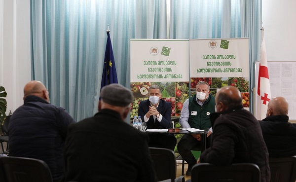 არასტანდარტული ვაშლის რეალიზაციის ხელშეწყობის  სახელმწიფო პროგრამის ფარგლებში, ფერმერებმა 9 მლნ ლარზე მეტი შემოსავალი მიიღეს