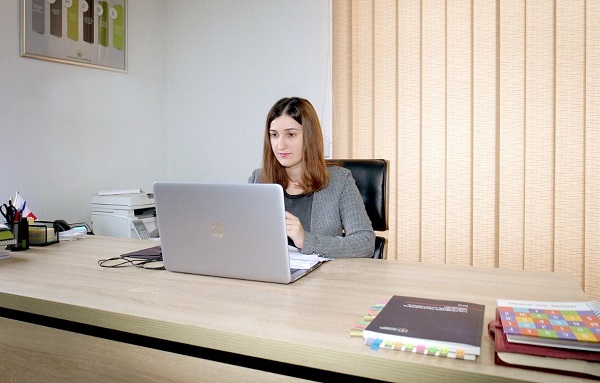 სახელმწიფო ინსპექტორი პროექტის 