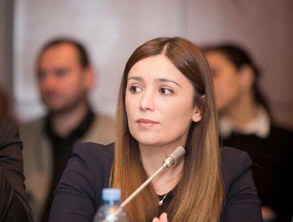 ნინო თანდილაშვილმა და აშშ-ის კომერციის დეპარტამენტის მდივნის მოადგილის თანაშემწემ, დავიდ დე ფალკომ ონლაინ შეხვდა გამართეს