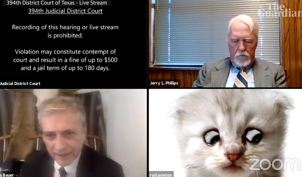 "კატა არ ვარ" - ადვოკატი ონლაინ სასამართლო პროცესზე კატის ფილტრით ჩაერთო | ვიდეო