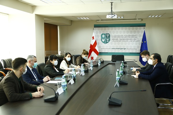 თამარ გაბუნია ევროპის საბჭოს დელეგაციას შეხვდა