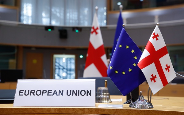 2020 წლის 31 ოქტომბრისა და 21 ნოემბრის არჩევნები იყო კონკურენტული და დაცული იყო ფუნდამენტური თავისუფლებები - ასოცირების საბჭო