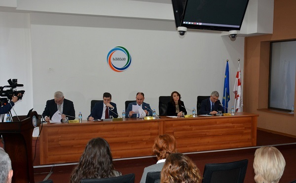 სემეკმა ენერგეტიკული ბაზრის მონიტორინგის წესები დაამტკიცა