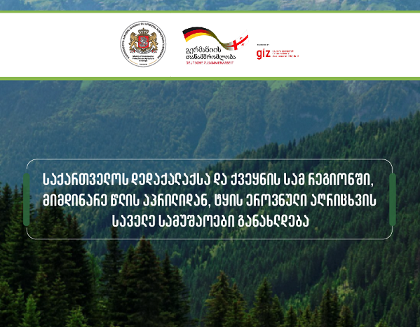 საქართველოს დედაქალაქსა და ქვეყნის სამ რეგიონში, მიმდინარე წლის აპრილიდან, ტყის ეროვნული აღრიცხვის საველე სამუშაოები განახლდება