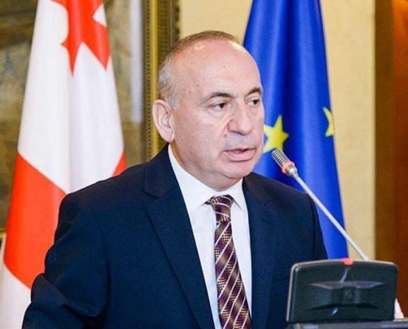 სოლომონ პავლიაშვილი საქართველოს მეცნიერებათა ეროვნული აკადემიის აკადემიკოსად აირჩიეს