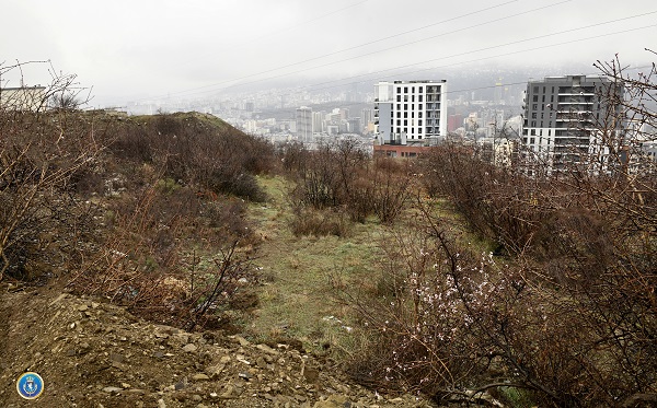 დიდი ოდენობით სხვისი ქონების მოტყუებით დაუფლების ფაქტზე სამი პირი დააკავეს