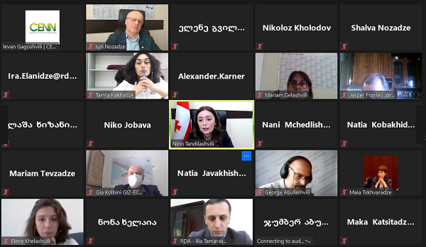 ეროვნული სატყეო პროგრამის II სამუშაო ჯგუფის 
