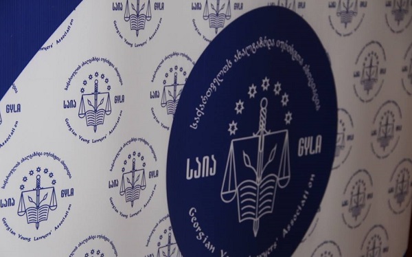 საია გმობს პირადი ცხოვრების უკანონო ხელყოფას და ანა დოლიძეს მხარდამჭერას უცხადებს