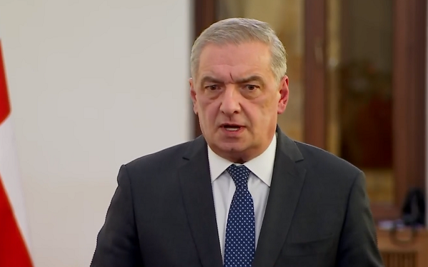 მელიას თავის თავი დაჭერილი ჰყავს, შეუძლია დღესვე გათავისუფლდეს -გიორგი ვოლსკი