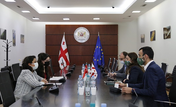 ნინო თანდილაშვილი თურქეთის თანამშრომლობისა და კოორდინაციის სააგენტოს კოორდინატორს შეხვდა