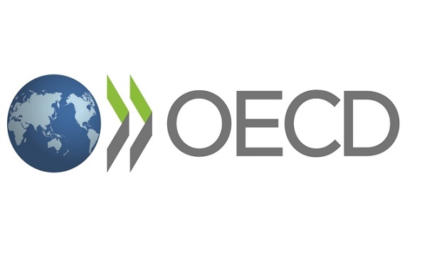 OECD-ის საერთაშორისო კონფერენცია არჩეული თავმჯდომარის რანგში პირველად გახსნა საქართველოს წარმომადგენელმა
